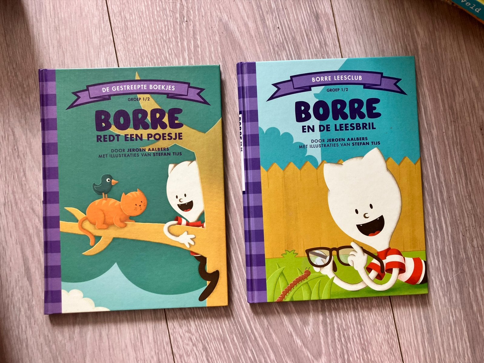 Borre leesboekjes groep 1/2, Boeken, Ophalen of Verzenden, Zo goed als nieuw, 3 tot 4 jaar