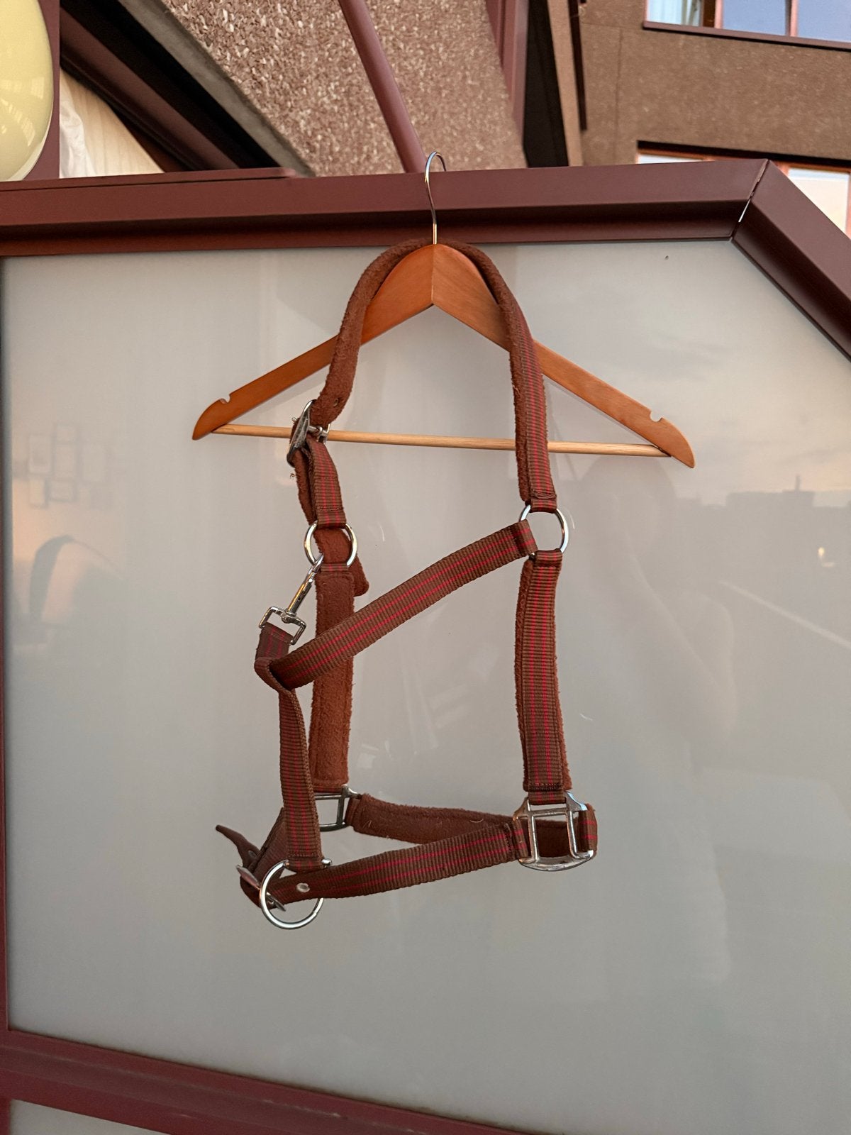 Halster paard of pony, Ophalen, Gebruikt