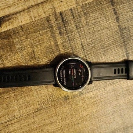 Garmin Fenix 6S 42mm Multisport GPS Smartwatch, Sieraden, Tassen en Uiterlijk, Gebruikt, Zwart, Garmin, Stappen