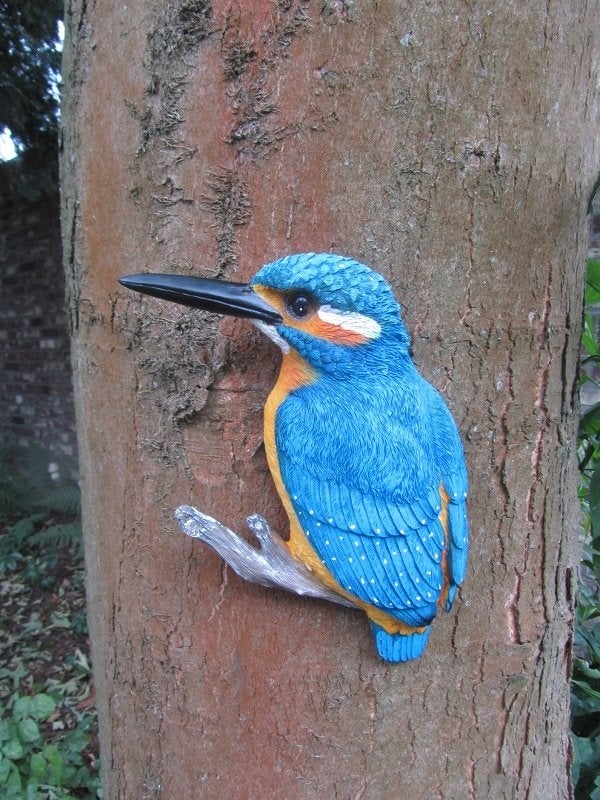 IJSVOGEL (L) THE BEAUTY, Verzenden, Nieuw