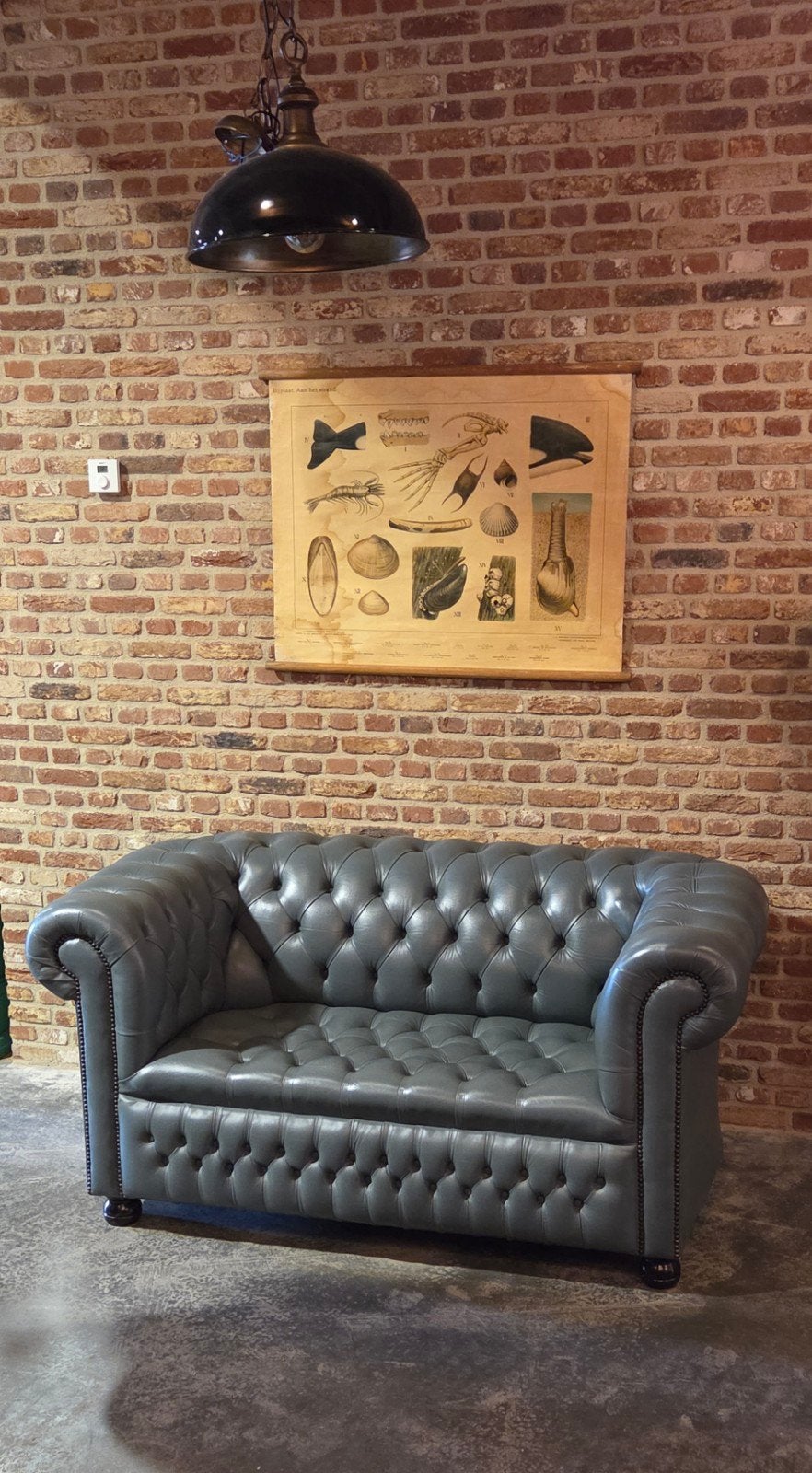 blauw grijs chesterfield bank bankje springvale gecappitonee, Ophalen, 150 tot 200 cm, Chesterfield, Tweepersoons