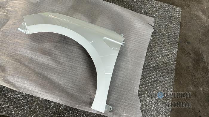 Scherm links-voor van een Renault Clio (OV369), -, Renault, -, Nieuw