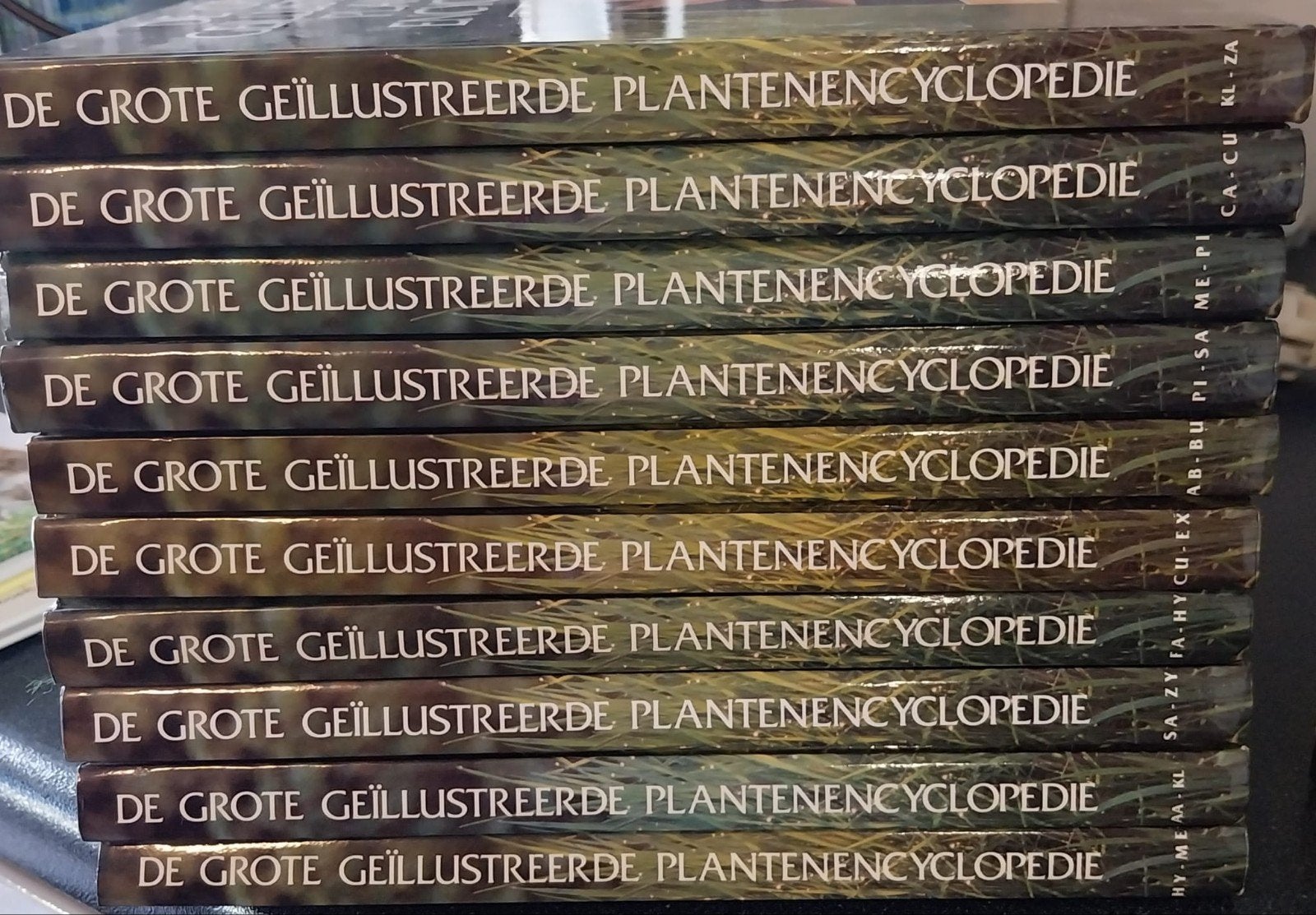 Planten Encyclopedieën, Ophalen of Verzenden, Zo goed als nieuw, Bloemen en Planten