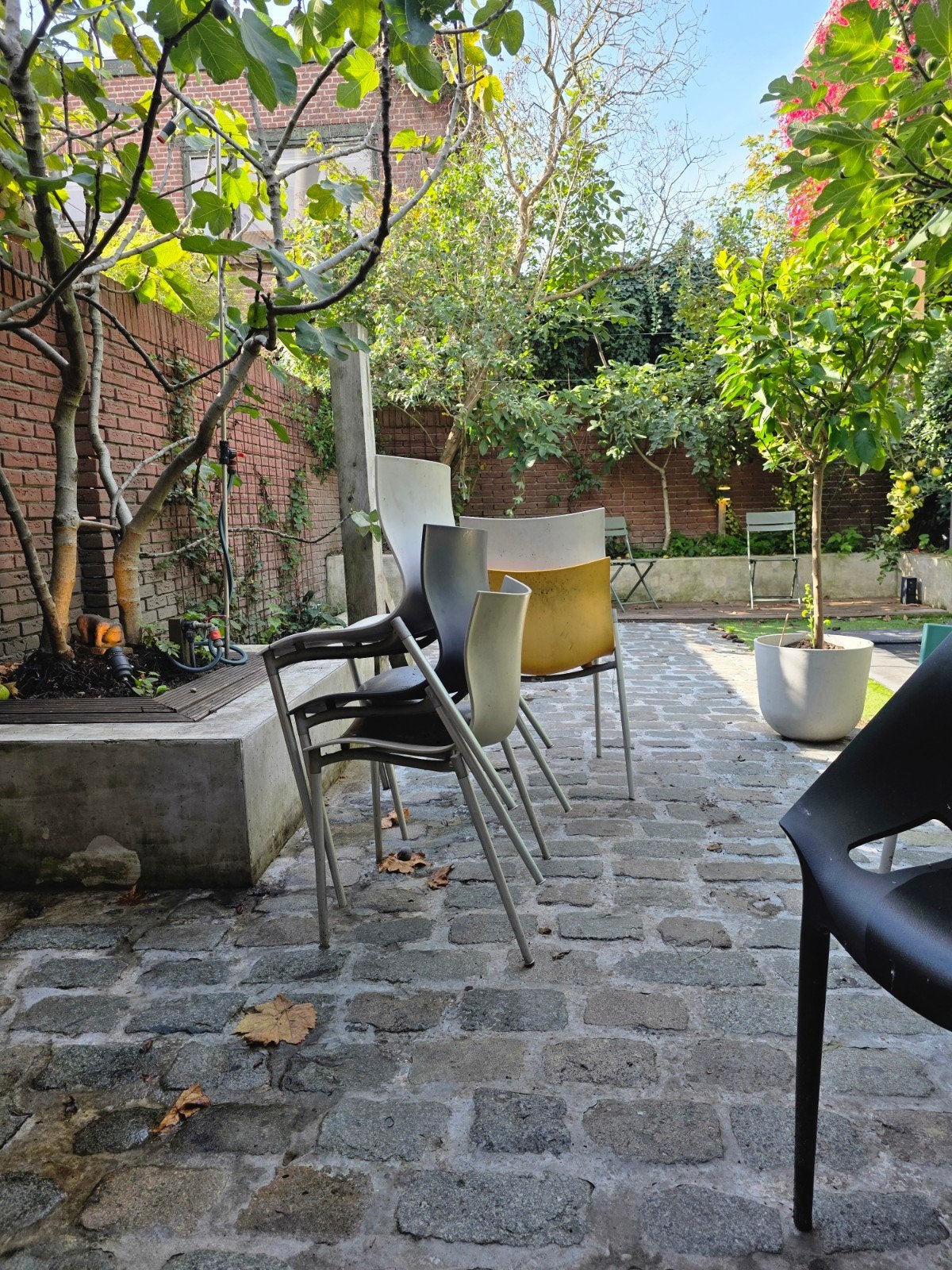 Philippe Starck Design Stoelen – Cameleon 5x, Kunststof, Gebruikt, Overige kleuren, Ophalen of Verzenden