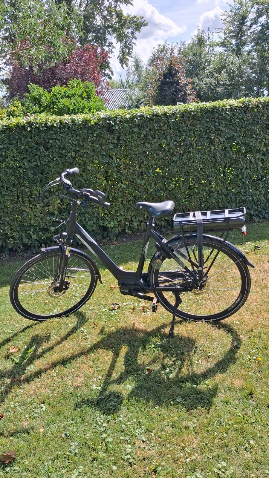 Forza elektrische fiets, zo goed als nieuw, Ophalen, Zo goed als nieuw, Overige merken
