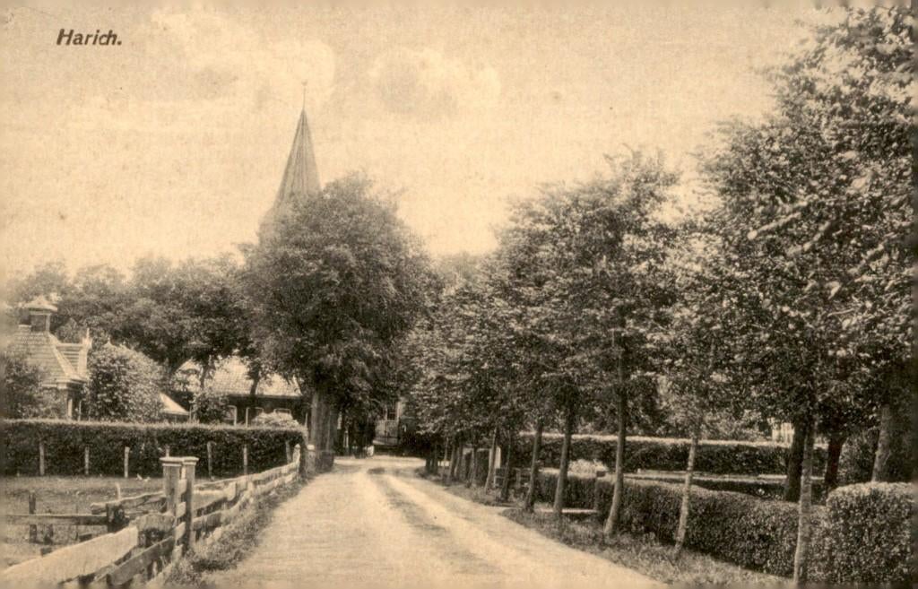 Harich Dorpsgezicht # 869, Verzenden, Voor 1920, Ongelopen, Friesland