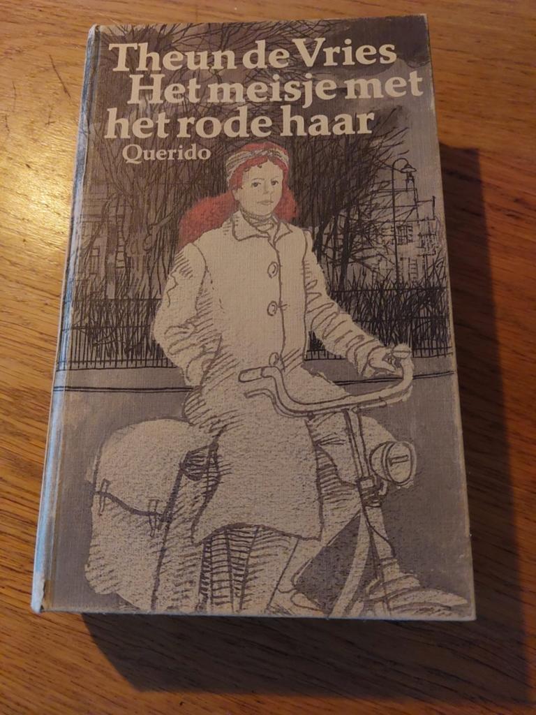 Het meisje met het rode haar - Theun de Vries (Querido), Boeken, Ophalen, Zo goed als nieuw, Theun de Vries, Nederland