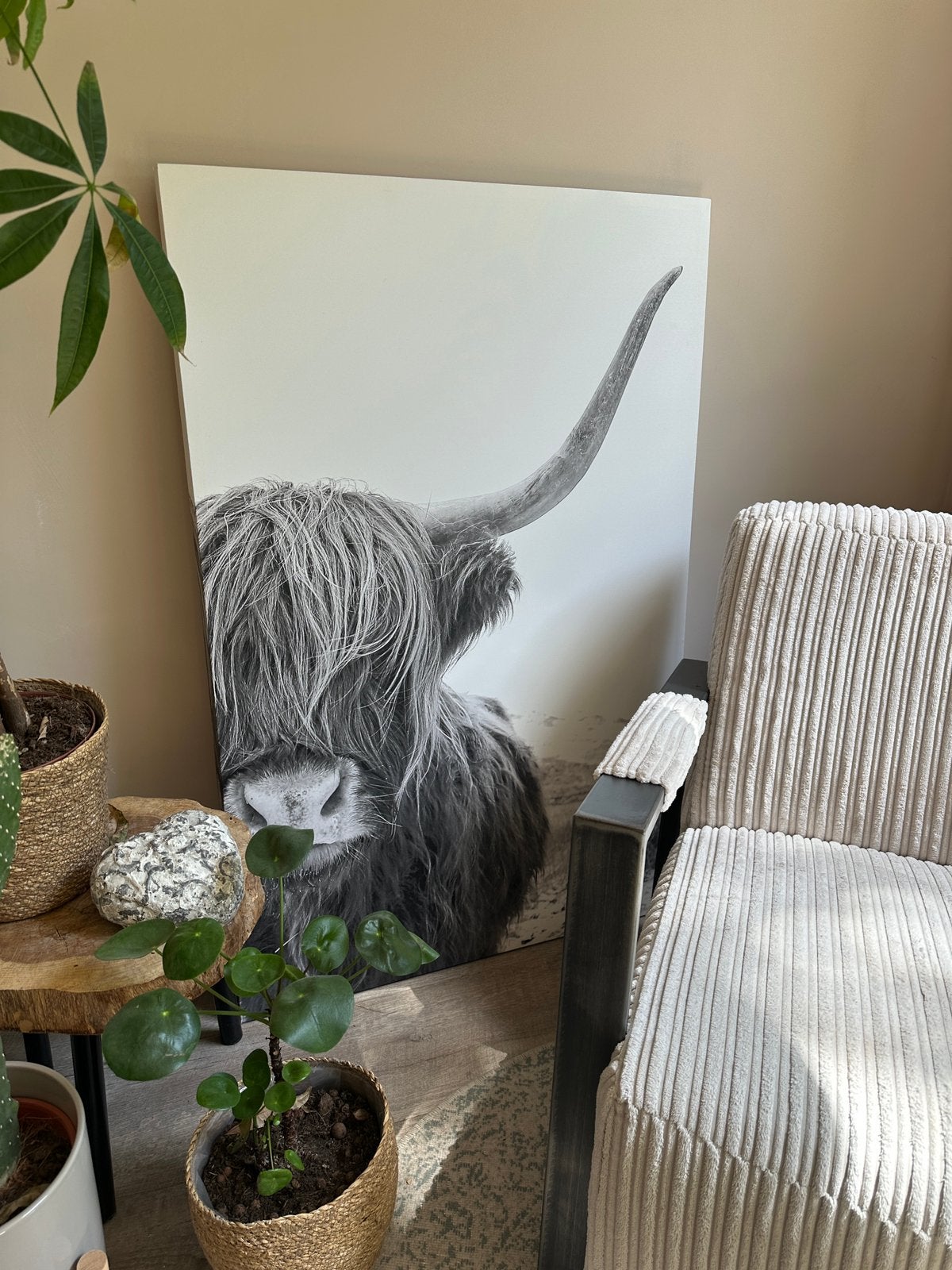 Canvas schilderij - Schotse hooglander - Zwart - Wit, Ophalen, Zo goed als nieuw, Schilderij, 75 cm of meer