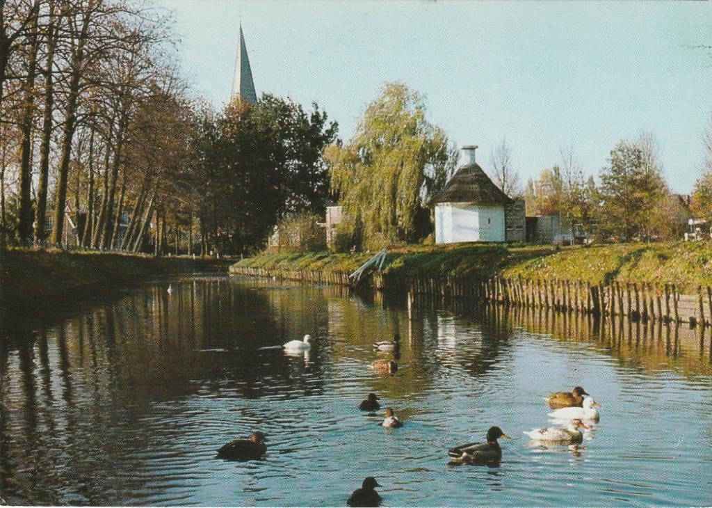 HENGELO (Gld.) Dorpsbleek met Eenden, Verzenden, 1980 tot heden, Gelopen, Gelderland