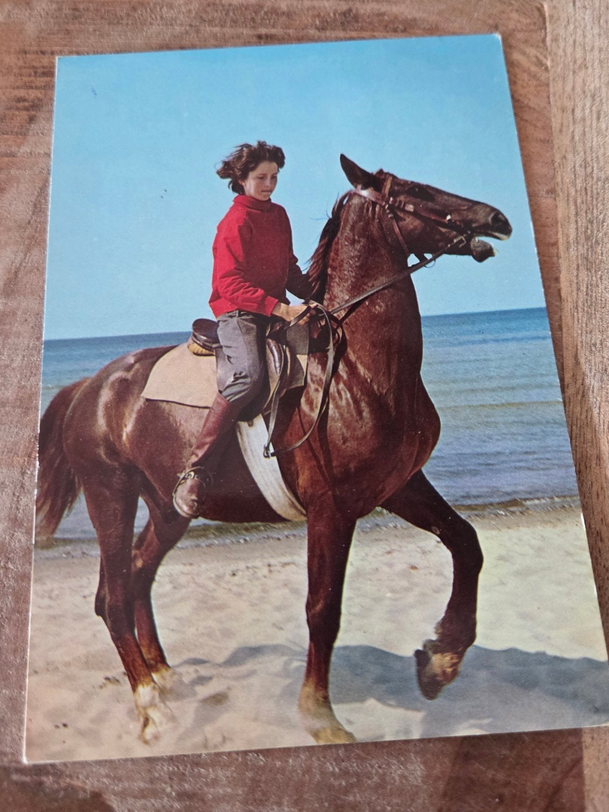 Meisje te paard op het strand, Verzamelen, Verzenden, 1960 tot 1980, Gelopen, Paard