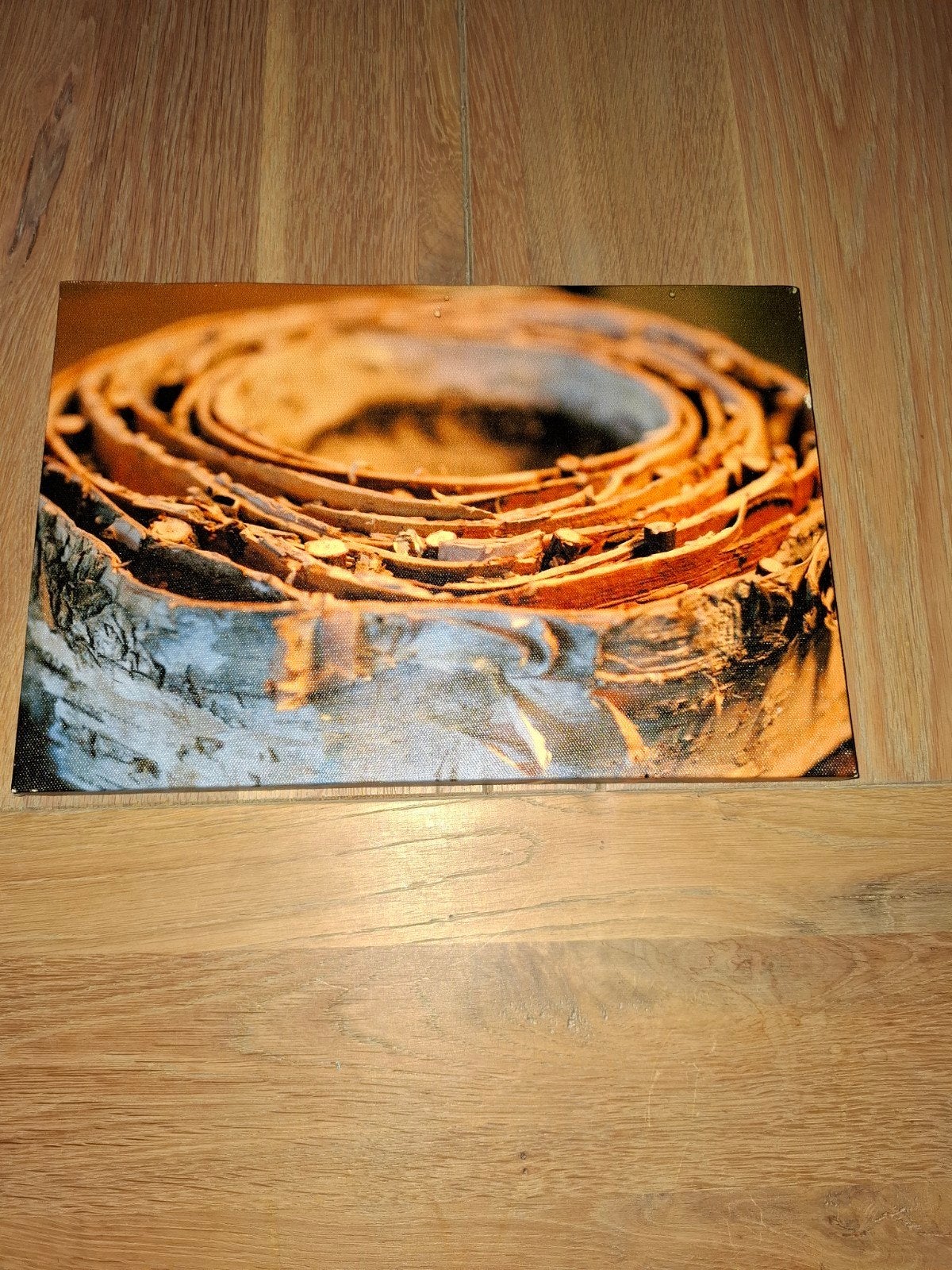 Set van 3 canvas schilderijen - Natuurlijke thema's, Ophalen, Minder dan 50 cm, Zo goed als nieuw, Schilderij