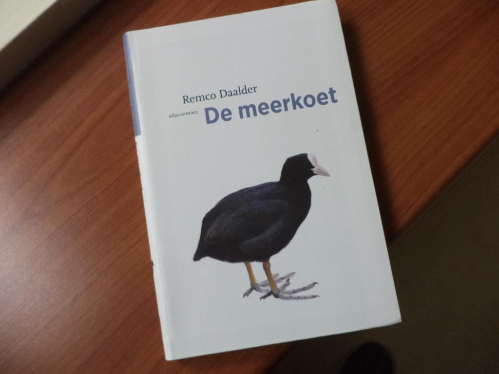 De meerkoet, Remco Daalder, Atlas contact vogelserie, Ophalen of Verzenden, Zo goed als nieuw