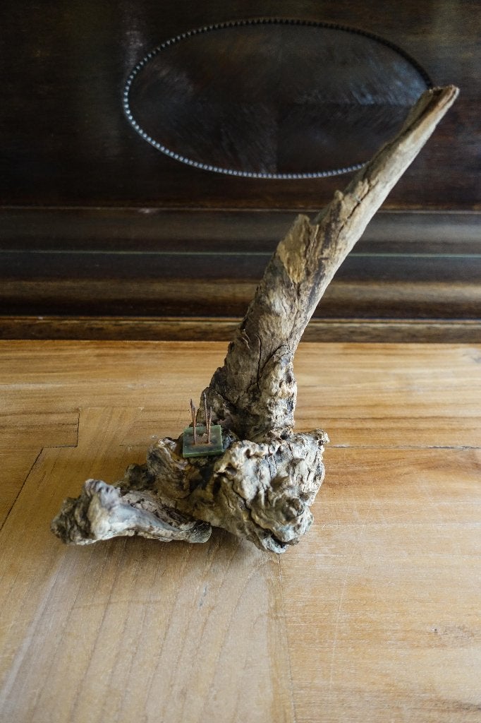 mooie grillige boom stronk voor bijzondere bloemsierkunst, Ophalen of Verzenden, Gebruikt, Bruin, Hout