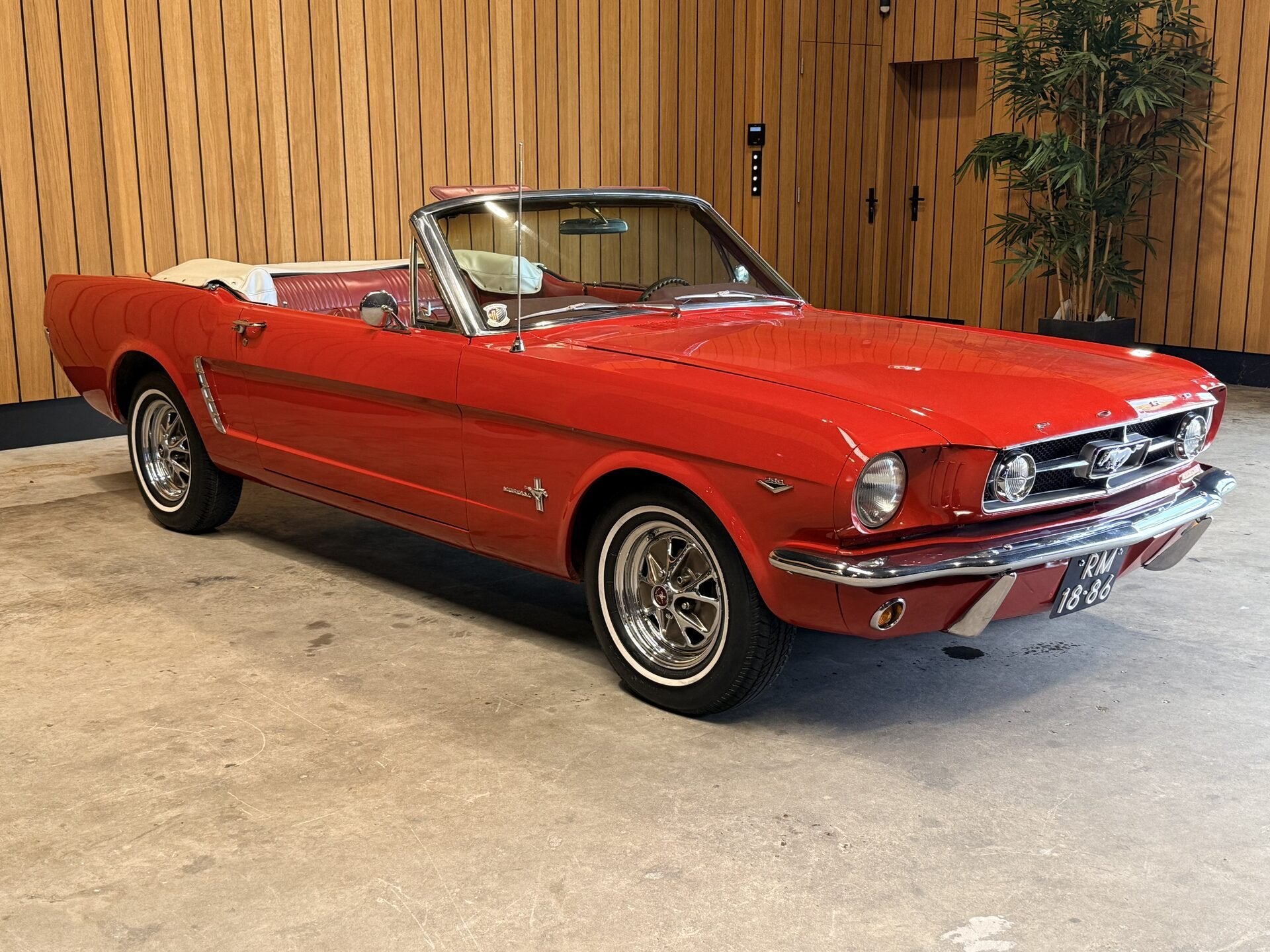 Ford Mustang Convertible 289 V8 Automaat. vvfffvf, foto 4