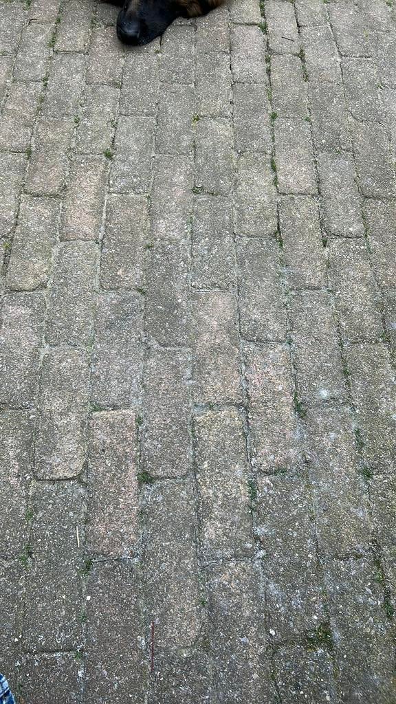 Klinkers, Tuin en Terras, Tegels en Klinkers, Ophalen, Gebruikt, Klinkers, 10 m² of meer