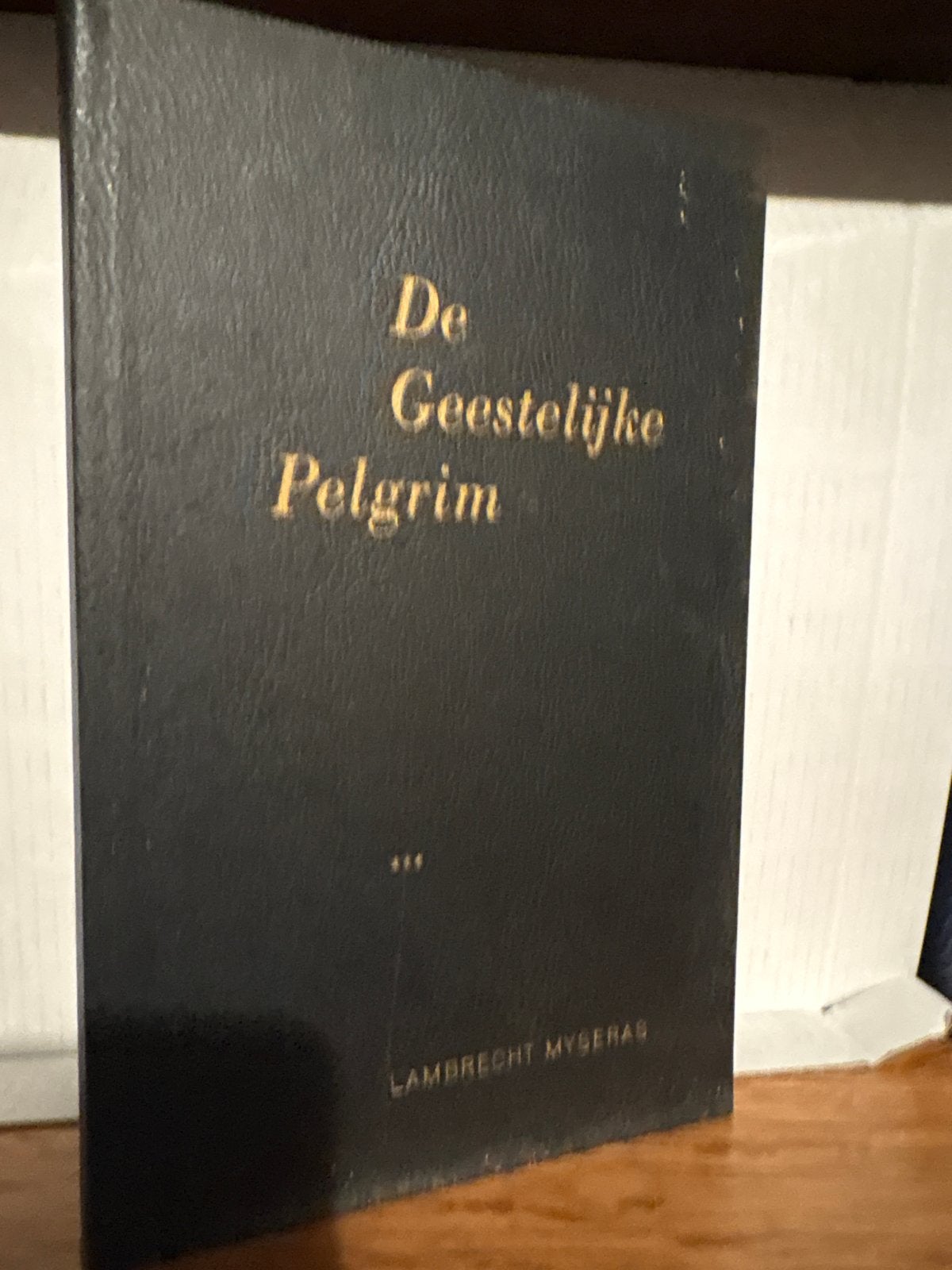 De Geestelijke Pelgrim - Lambrecht Myseras, Ophalen of Verzenden, Gelezen, Spiritualiteit algemeen, Verhaal of Roman