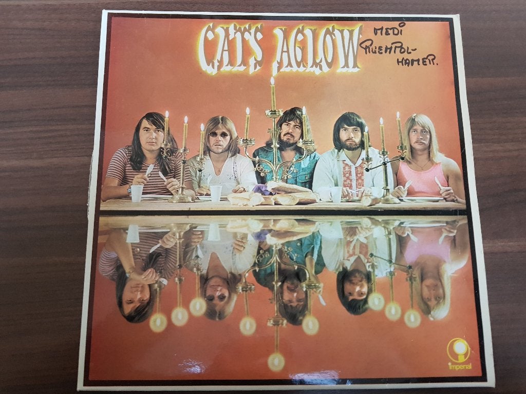 The Cats – Aglow, LP, Ophalen of Verzenden, Zo goed als nieuw, 12 inch