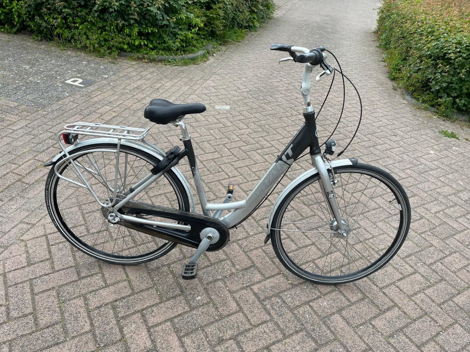 Giant damesfiets te koop, Ophalen, Versnellingen, Giant, 53 tot 56 cm