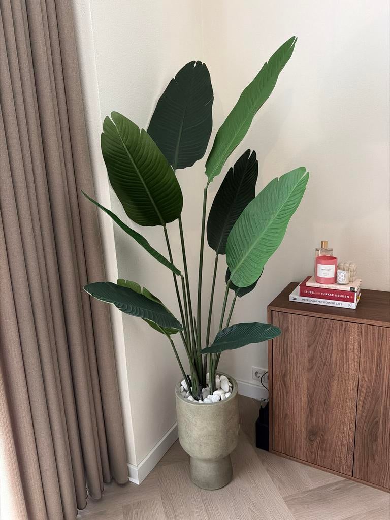 Grote kunstplant Strelitzia 160cm, Ophalen, Nieuw, Kunstplant