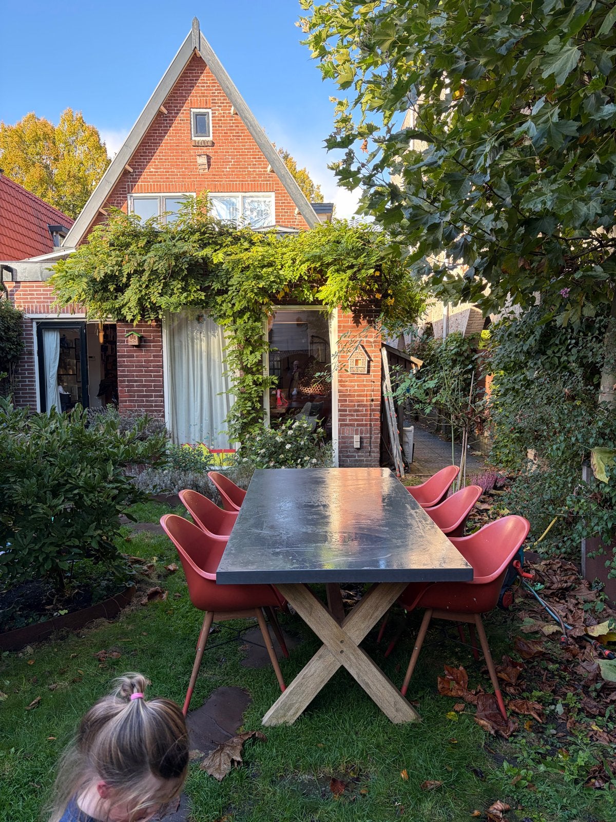 Robuuste tuintafel met 6 stoelen, Ophalen of Verzenden, Gebruikt, Rechthoekig, Hout