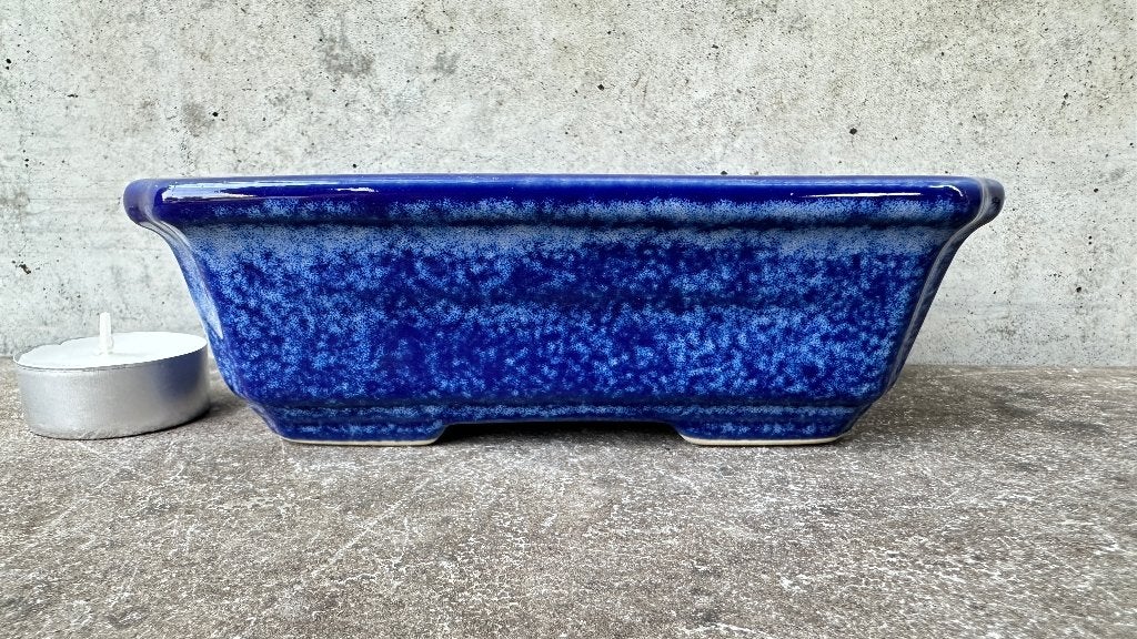 Bonsai schaal pot 15x11x5cm ***, Ophalen of Verzenden, Zo goed als nieuw, Overige vormen, Aardewerk