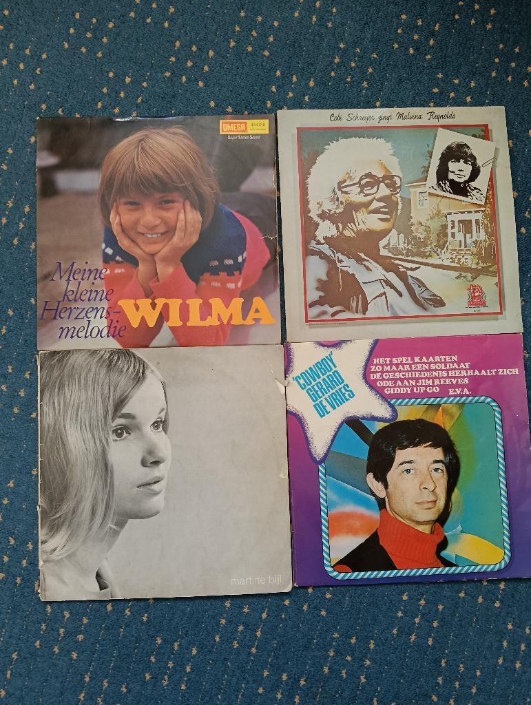 4 Nederlands-talig LP's, Ophalen of Verzenden, Gebruikt, 12 inch, Levenslied of Smartlap