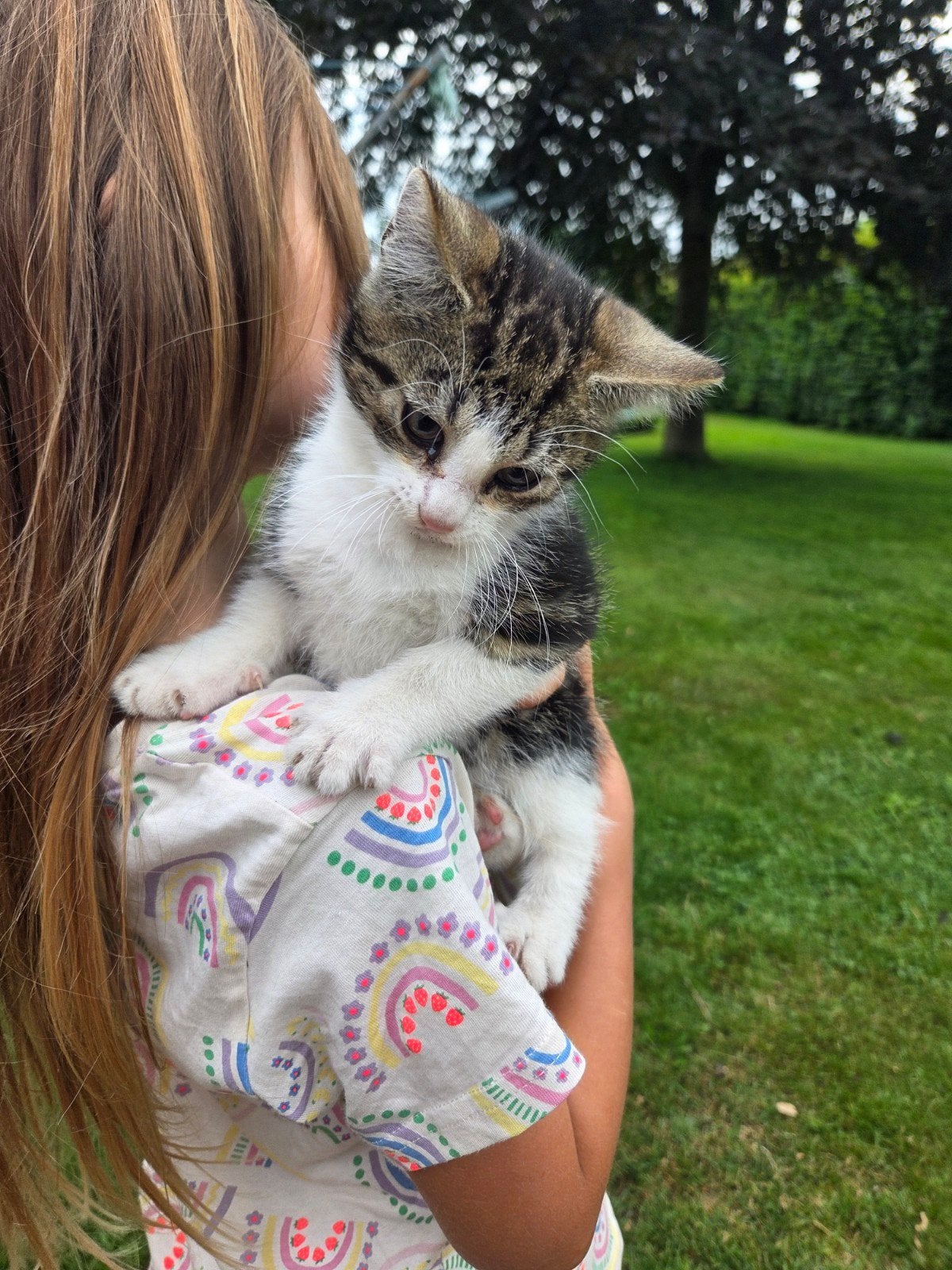 4 kittens (vrouwtjes), Dieren en Toebehoren, Katten en Kittens | Overige Katten, Poes