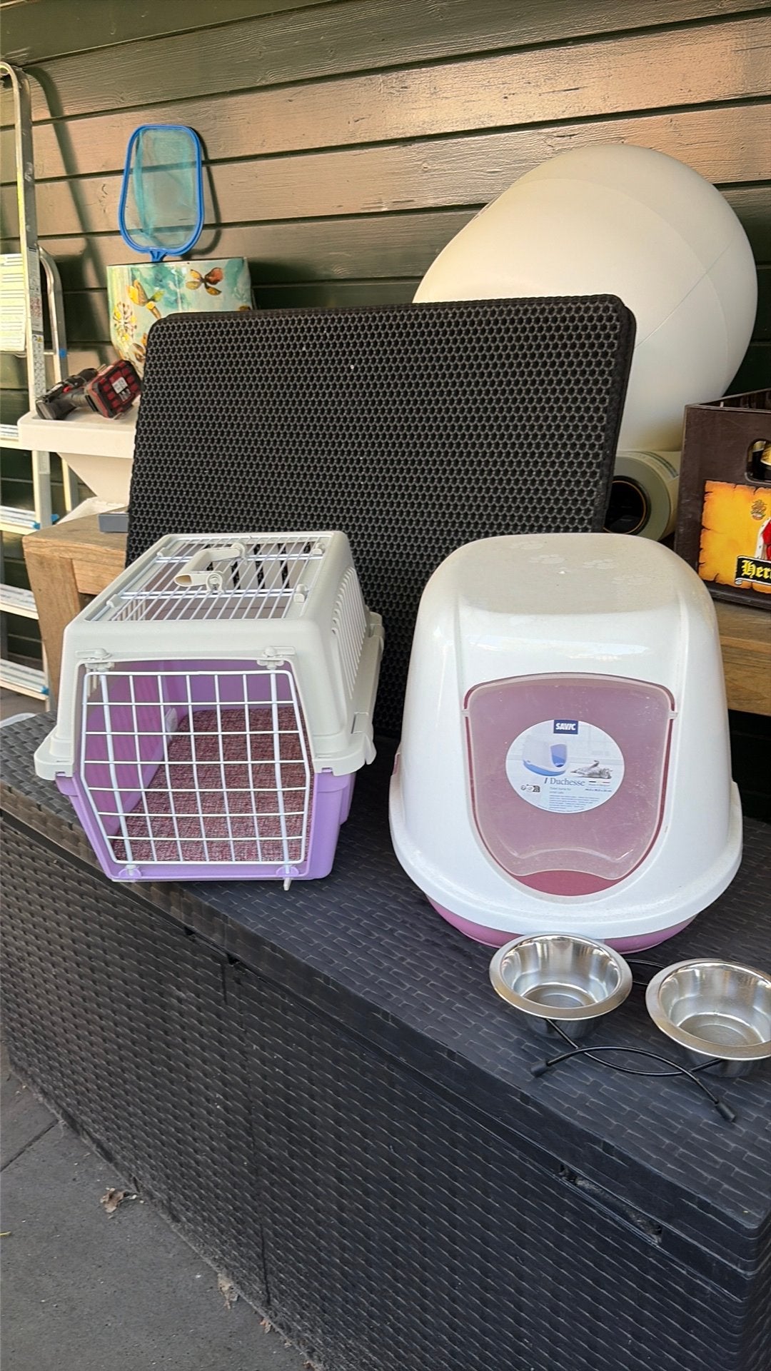 Set voor kitten, Dieren en Toebehoren, Ophalen, Zo goed als nieuw