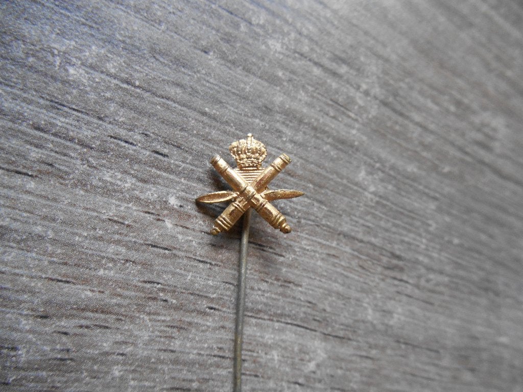 Korps Luchtdoelartillerie insigne PALUA goudkleurig, Ophalen of Verzenden, Landmacht, Nederland, Overige typen