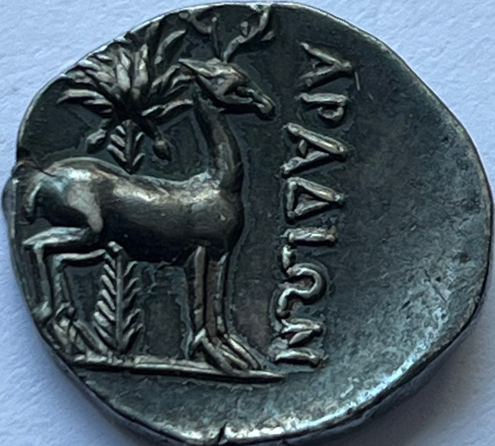Fenicië zeldzame drachme ZJ prachtexemplaar met patina, Ophalen of Verzenden, Midden-Oosten, Losse munt, Zilver