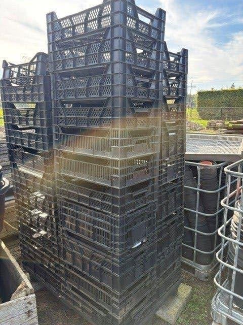 planten kratten, Ophalen, 40 tot 60 cm, 50 tot 75 cm, Minder dan 35 cm