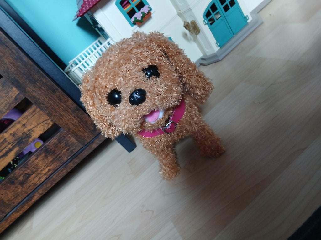 Interactieve hond, Overige merken, Overige karakters, Zo goed als nieuw, Middelgroot (20 tot 80 cm)
