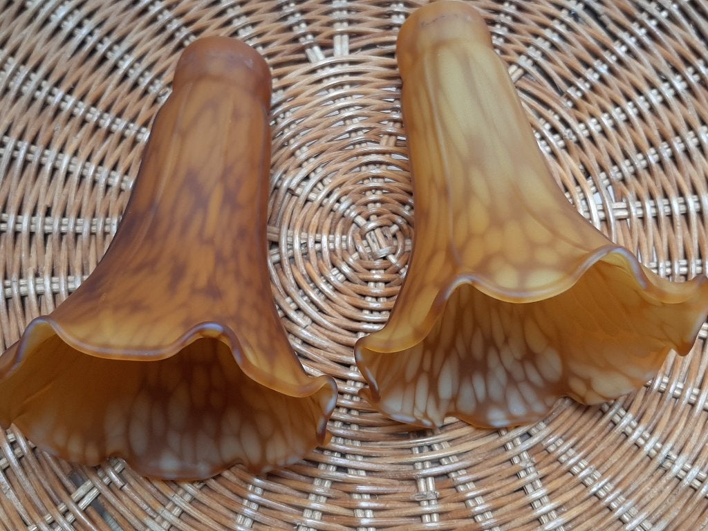 Glaspasta kapjes, Ophalen of Verzenden