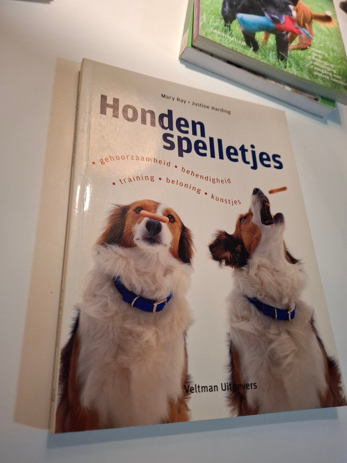 Honden spelletjes: gehoorzaamheid,training, beloning, kunstj, Ophalen of Verzenden, Gelezen, Honden, Mary Ray, Justine Harding