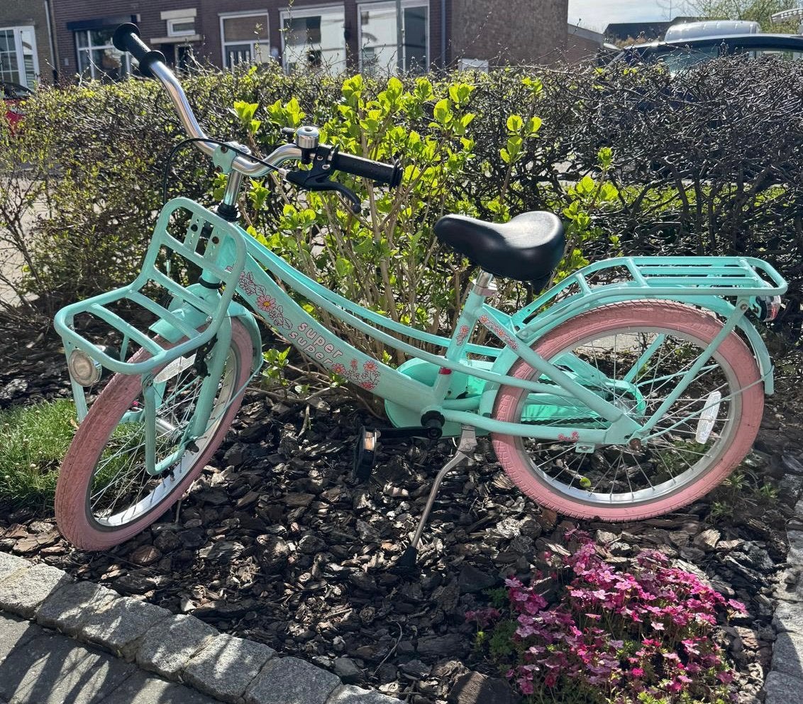 Fiets 20 inch, Ophalen, Zo goed als nieuw, 20 inch, Handrem