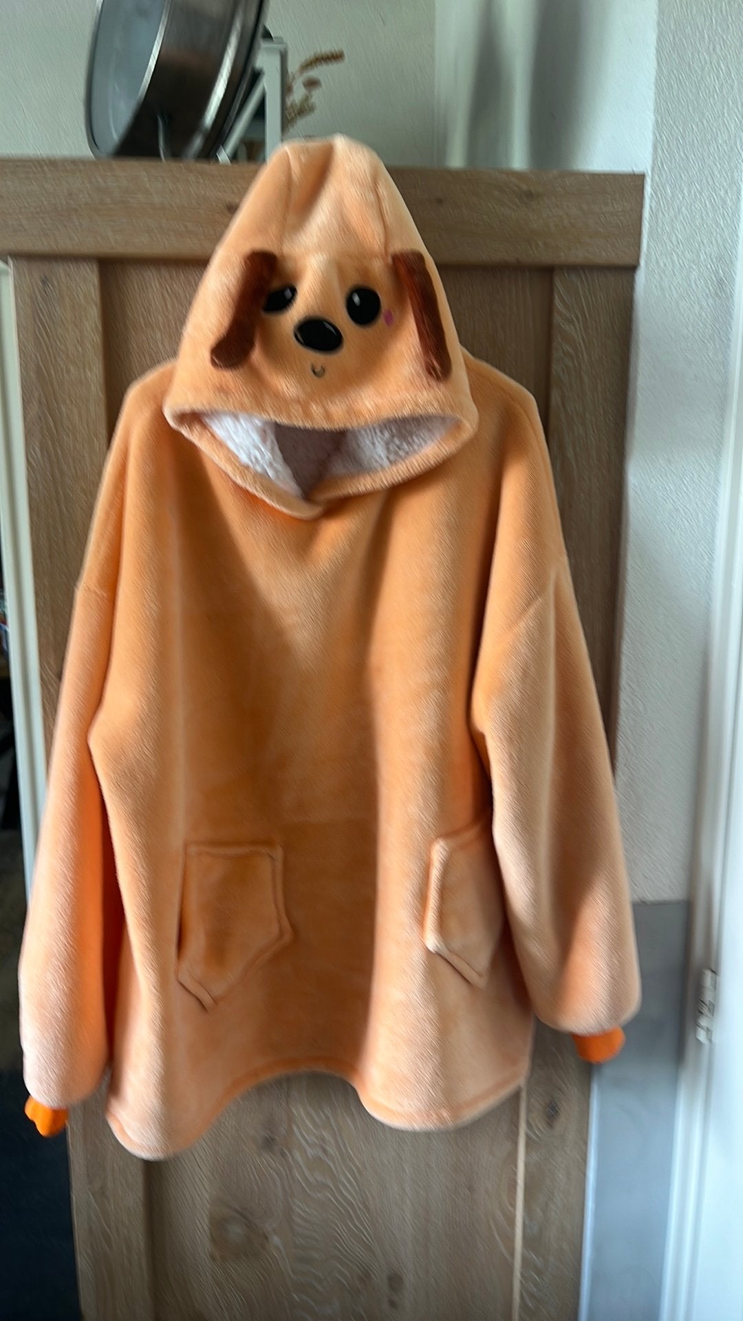 Oranje sheet hond, Ophalen of Verzenden, Gedragen, Oranje