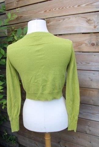 Vest groen Caroline Biss mt 36 Vaste prijs OPRUIMING, Kleding | Dames, Ophalen of Verzenden, Zo goed als nieuw, Maat 36 (S), Caroline Biss
