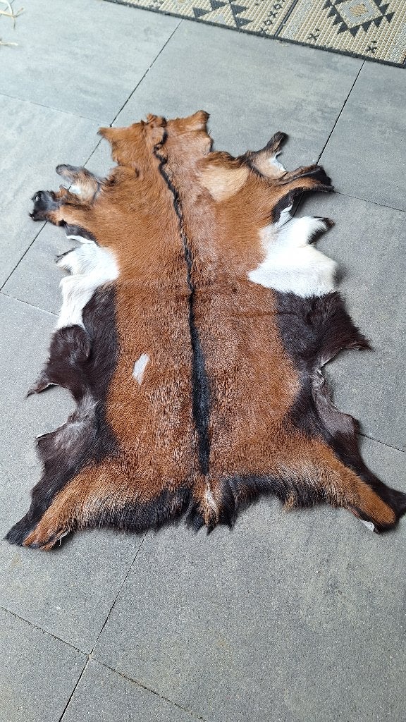Geitenvel, 100 tot 150 cm, Zo goed als nieuw, Rechthoekig, 50 tot 100 cm