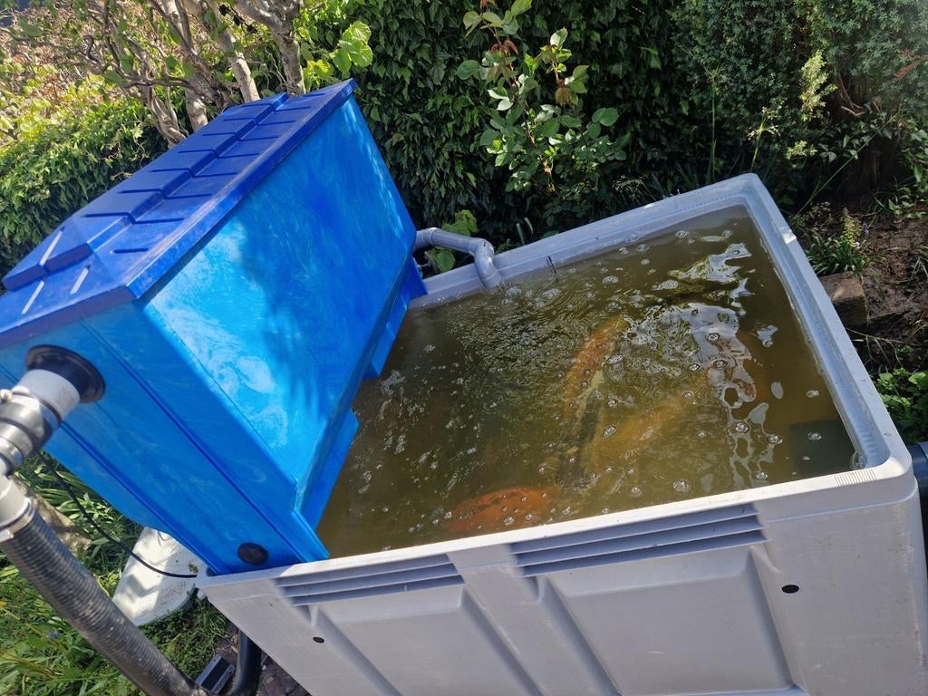 Quarantaine bak met opzetfilter (geen pomp), Ophalen, Gebruikt