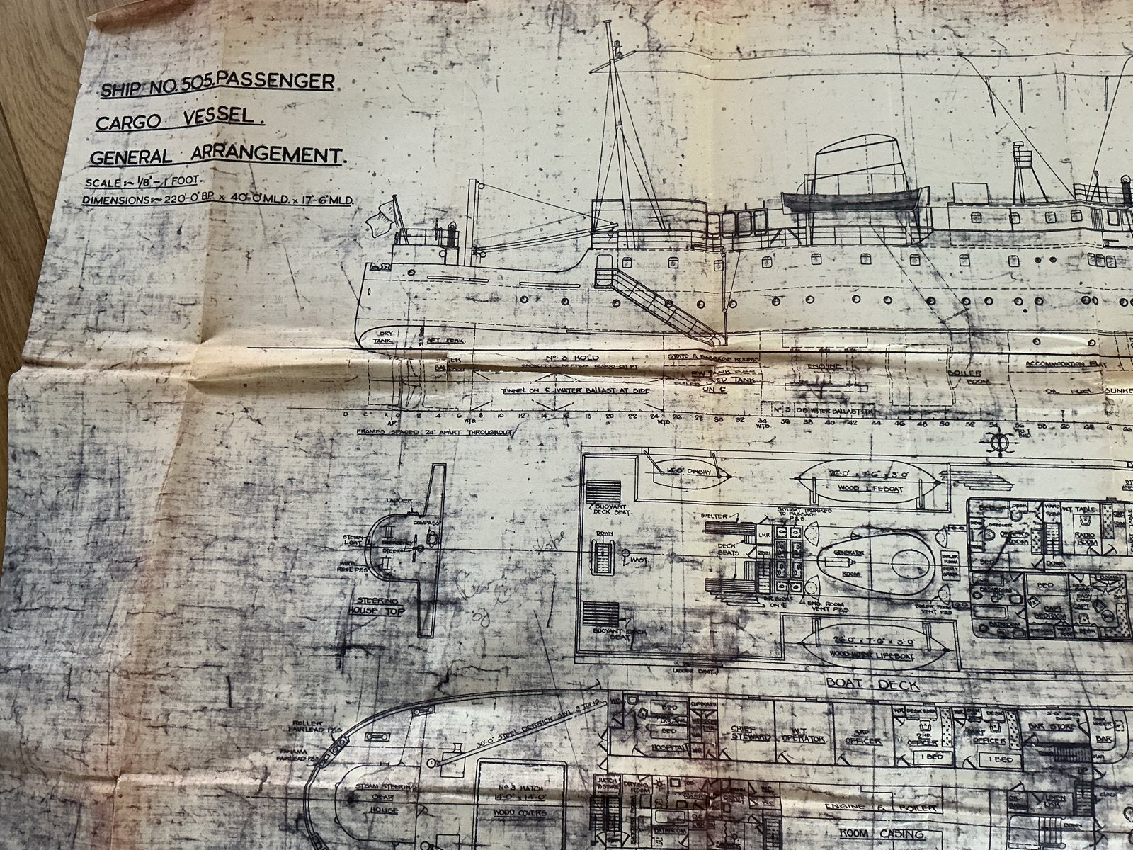 scheepsbouwtekening passagiers- en vrachtschip SS DARWIN, Verzamelen, Gebruikt, Verzenden, Voor 1940, Prent