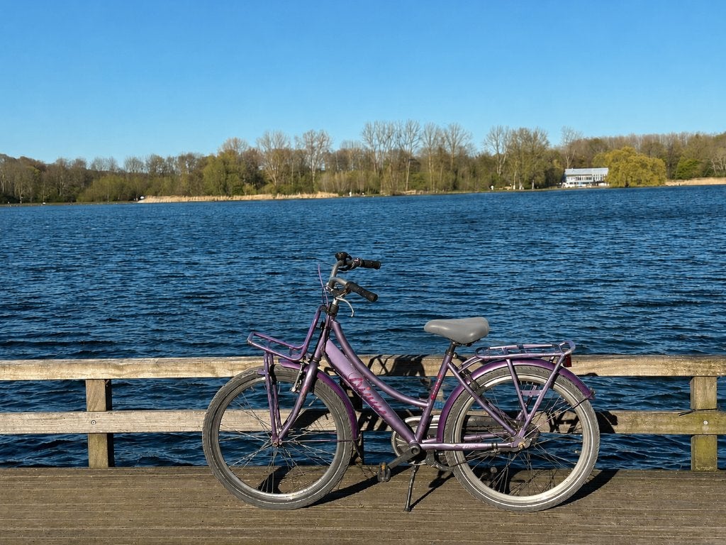 Bike, Ophalen, Zo goed als nieuw, 22 inch, Versnellingen