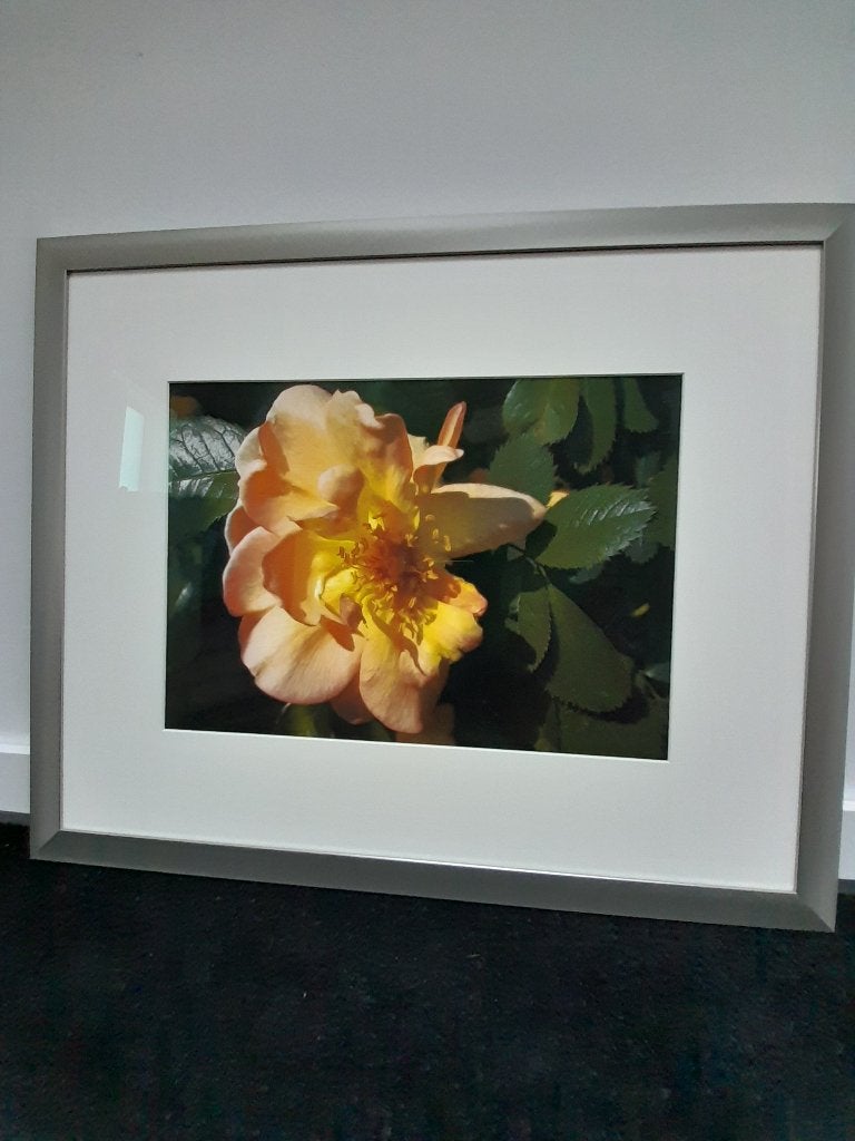 Schilderij in RVS lijst, Ophalen
