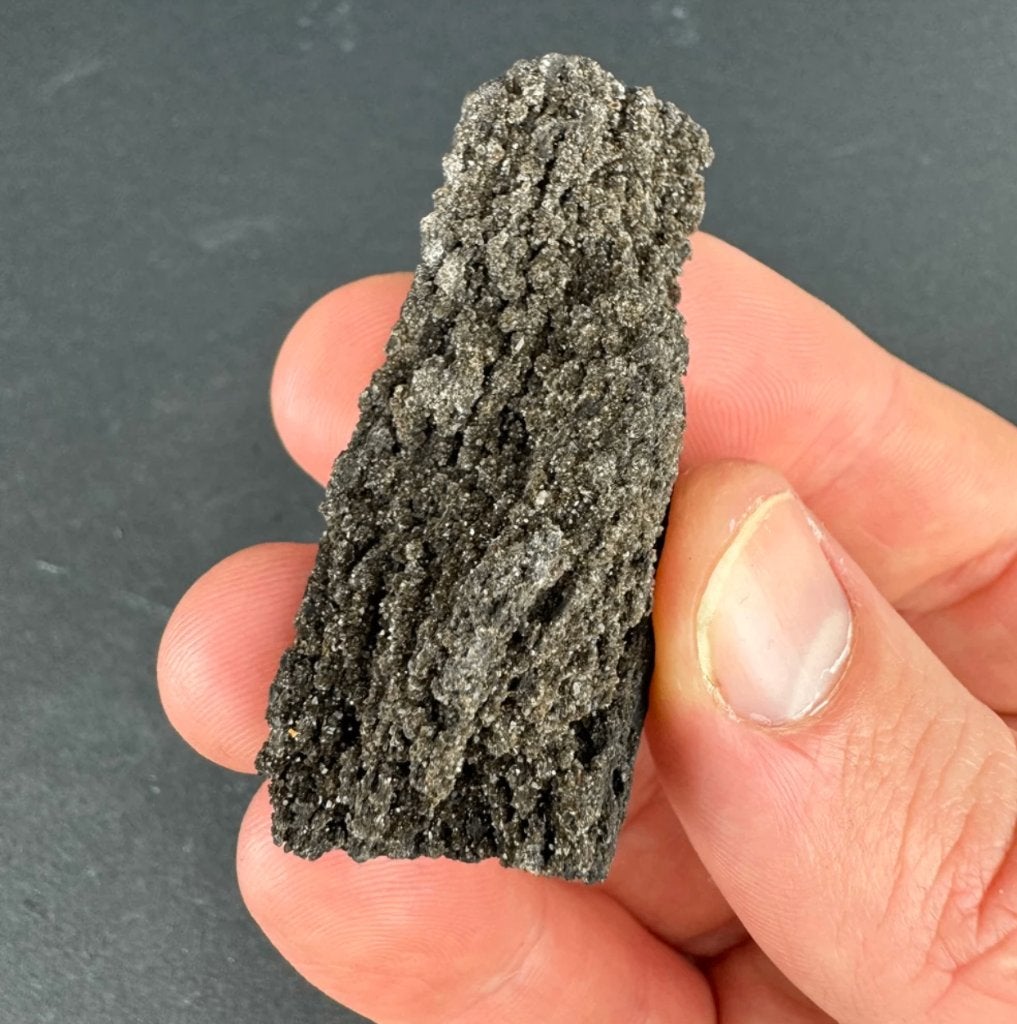 Gepermineraliseerd Hout uit Banten, Java, Indonesië, Ophalen of Verzenden, Mineraal