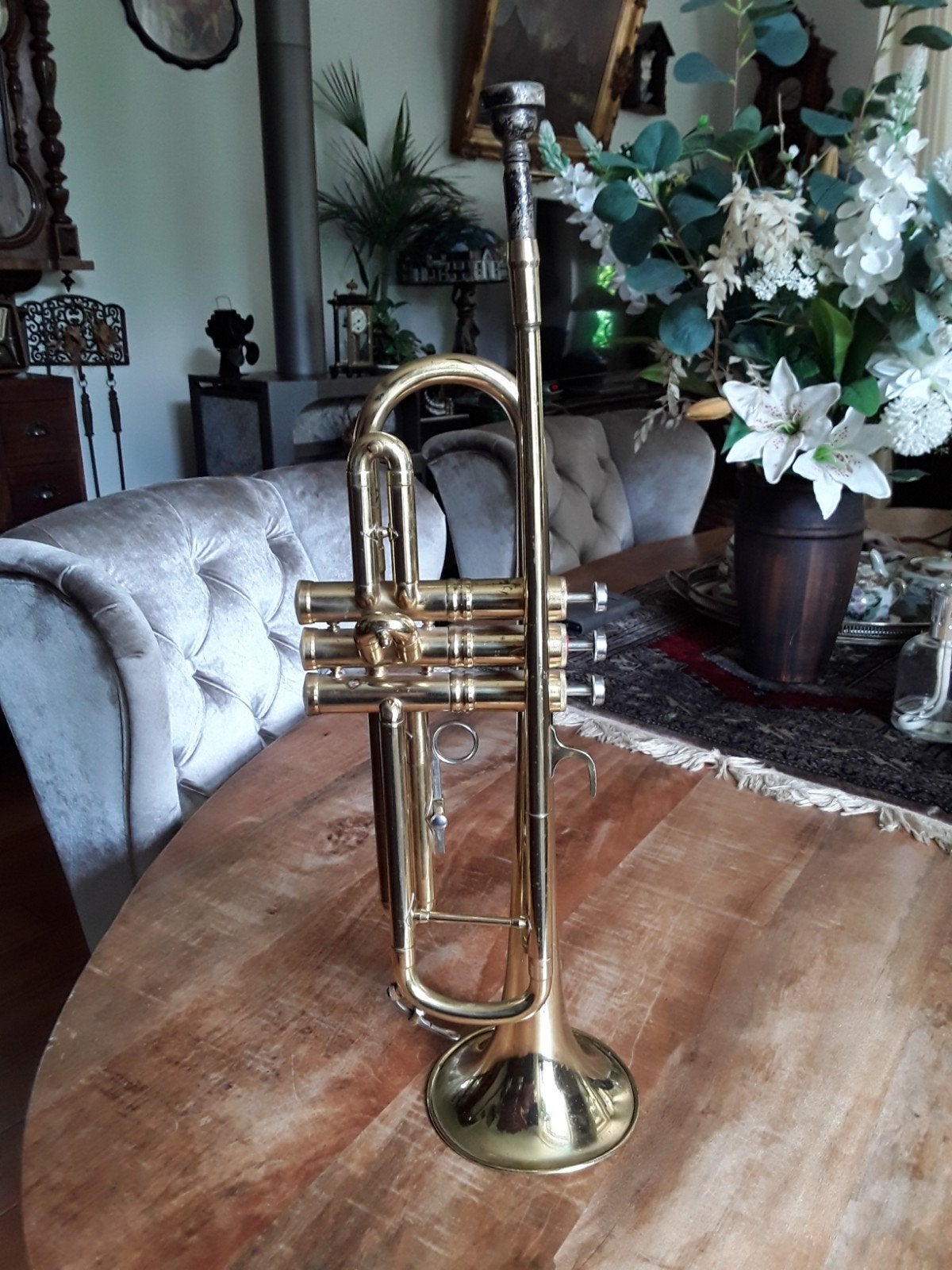 Parrot trompet., Muziek en Instrumenten, Blaasinstrumenten | Trompetten, Ophalen, Gebruikt, Overige typen