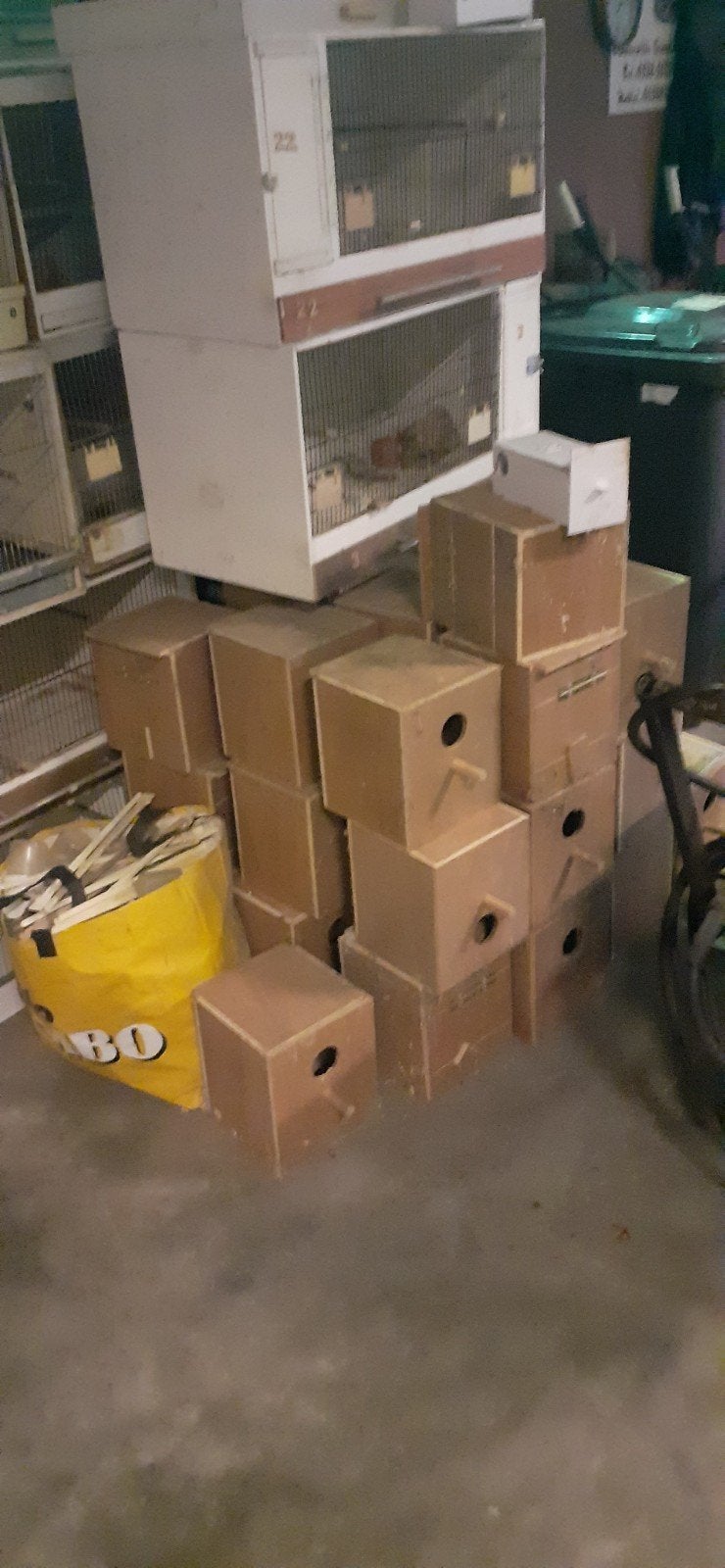 brordkooi, Dieren en Toebehoren, Ophalen of Verzenden
