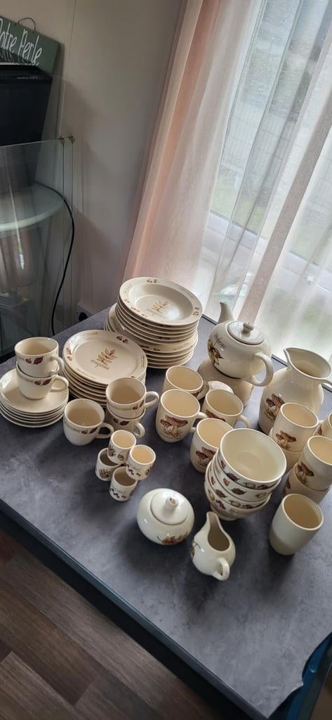 Servies Jet ter Steege Autumnal, Ophalen of Verzenden, Gebruikt, Aardewerk, Overige stijlen