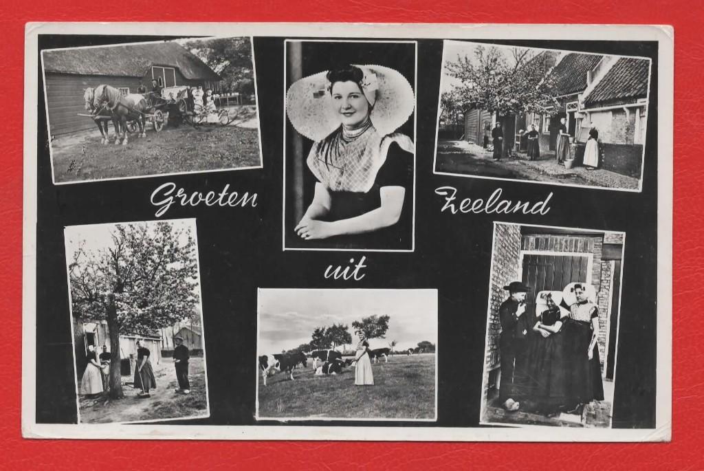 Zeeland - 6-luik - Klederdracht - Paarden - Koeien - 1960, Ophalen of Verzenden, 1940 tot 1960, Gelopen, Zeeland