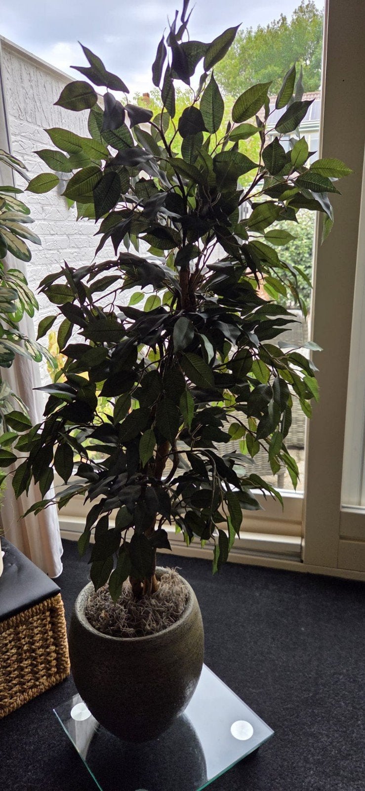 Grote kunstplant, circa 160 cm hoog, Huis en Inrichting, Ophalen, 160 cm, Kunstplant, Zo goed als nieuw
