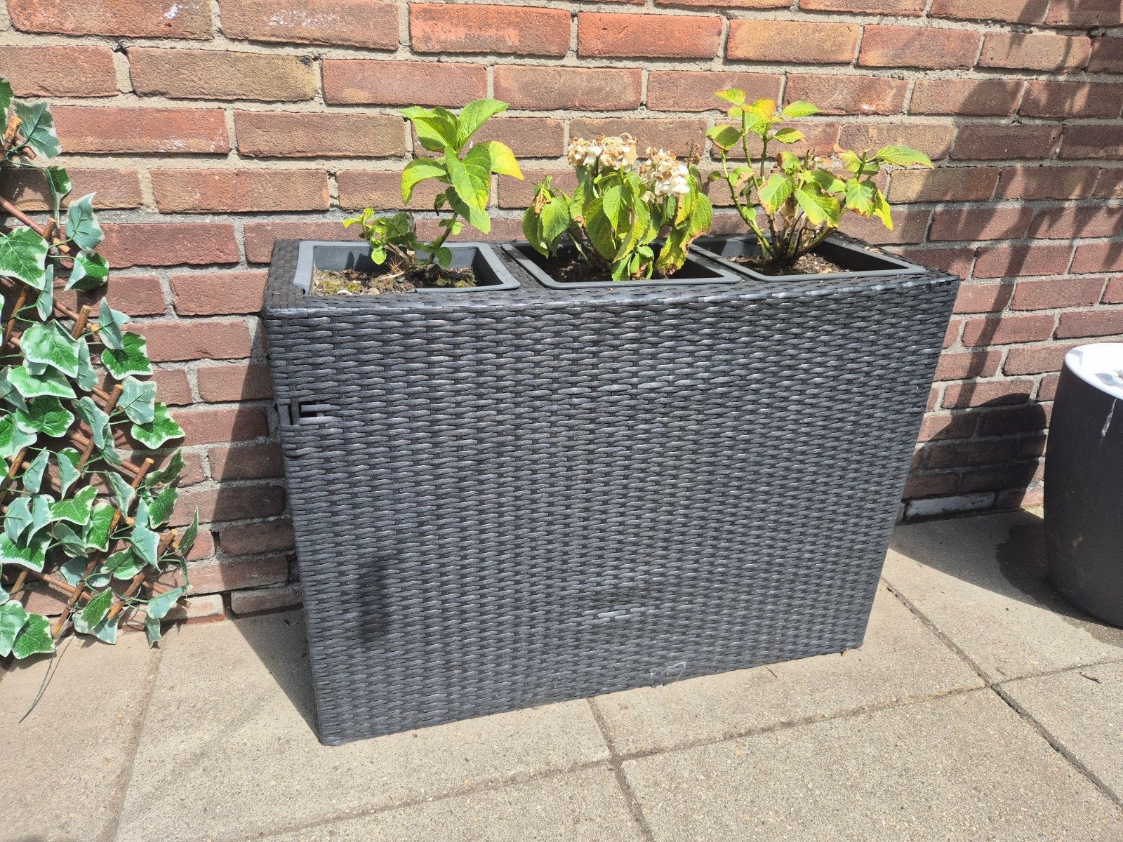 Gratis Bloemenbak, Ophalen, Rond, Minder dan 30 cm