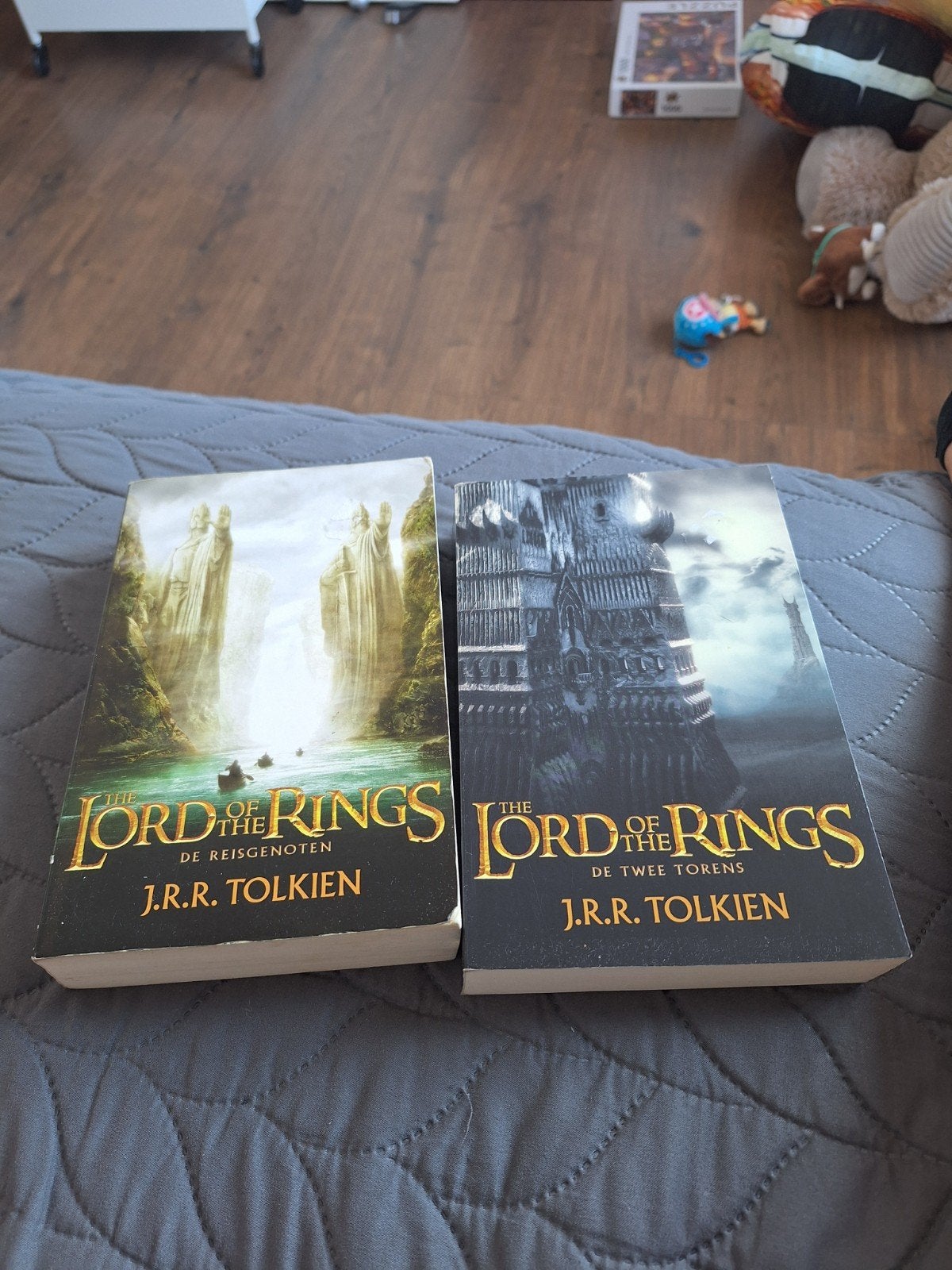 Lord of the Rings: De Reisgenoten & De Twee Torens, Boeken, Ophalen of Verzenden, Gelezen, J.R.R. Tolkien